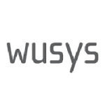 Wusys logo